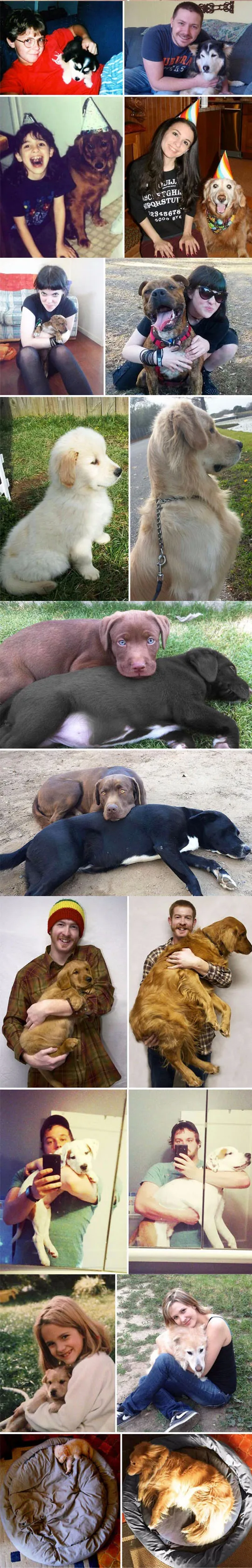 Puppers through the ages
