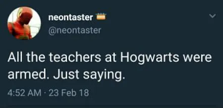 All The Teachers At Hogwarts Were Armed...