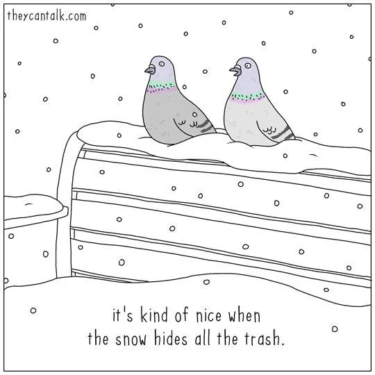 Winter wonderland is for the birds.