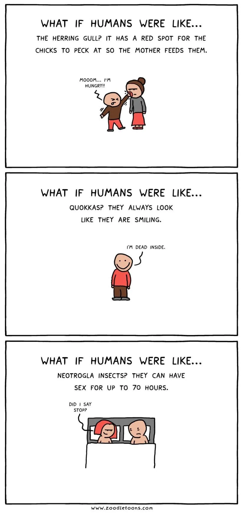 What if humans were like...