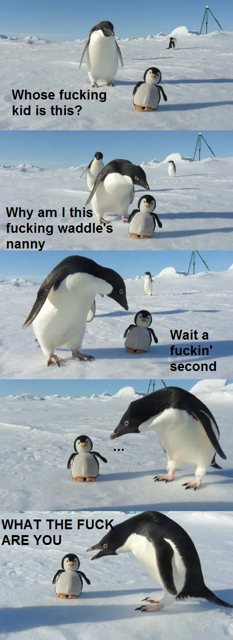 How to confuse a penguin.