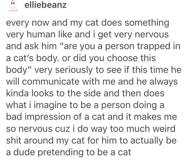 Are you a person trapped in a cat's body?