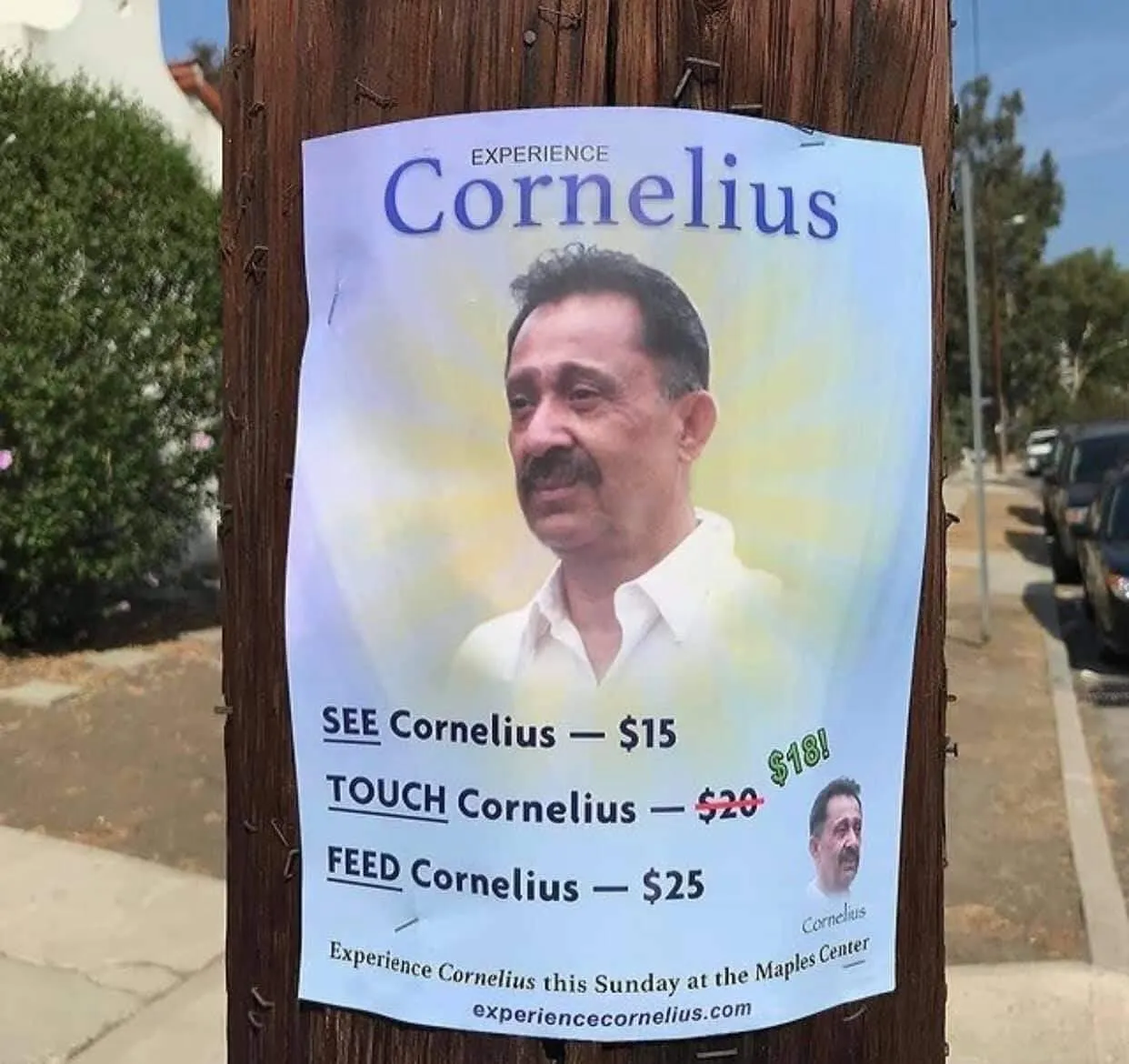 Please support The Cornelius Foundation