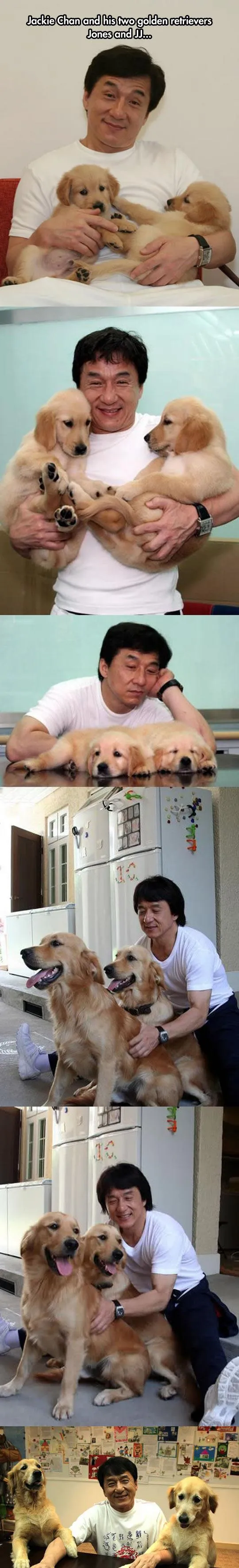 Jackie Chan has golden puppers.
