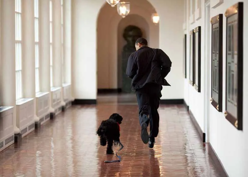 White House Photographer Releases Favorite Images of Obama Through His Presidency