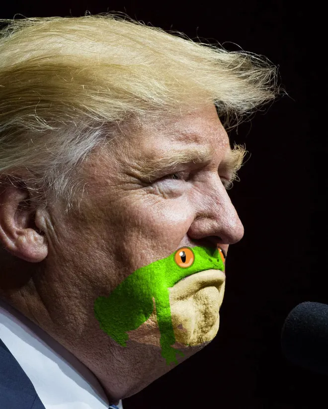 Rare Pepe vs Trumps face. [so many]