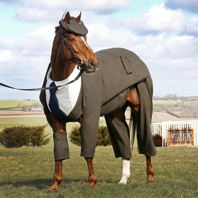 It's not every day you see a horse in a three-piece suit.