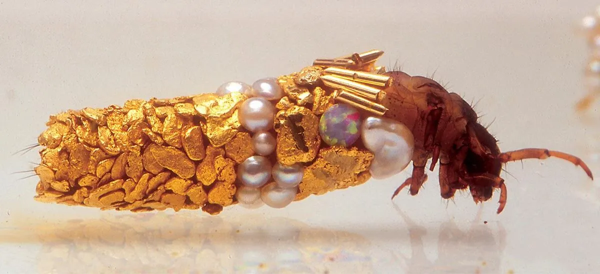 A french artist collaborated with caddisfly larva.