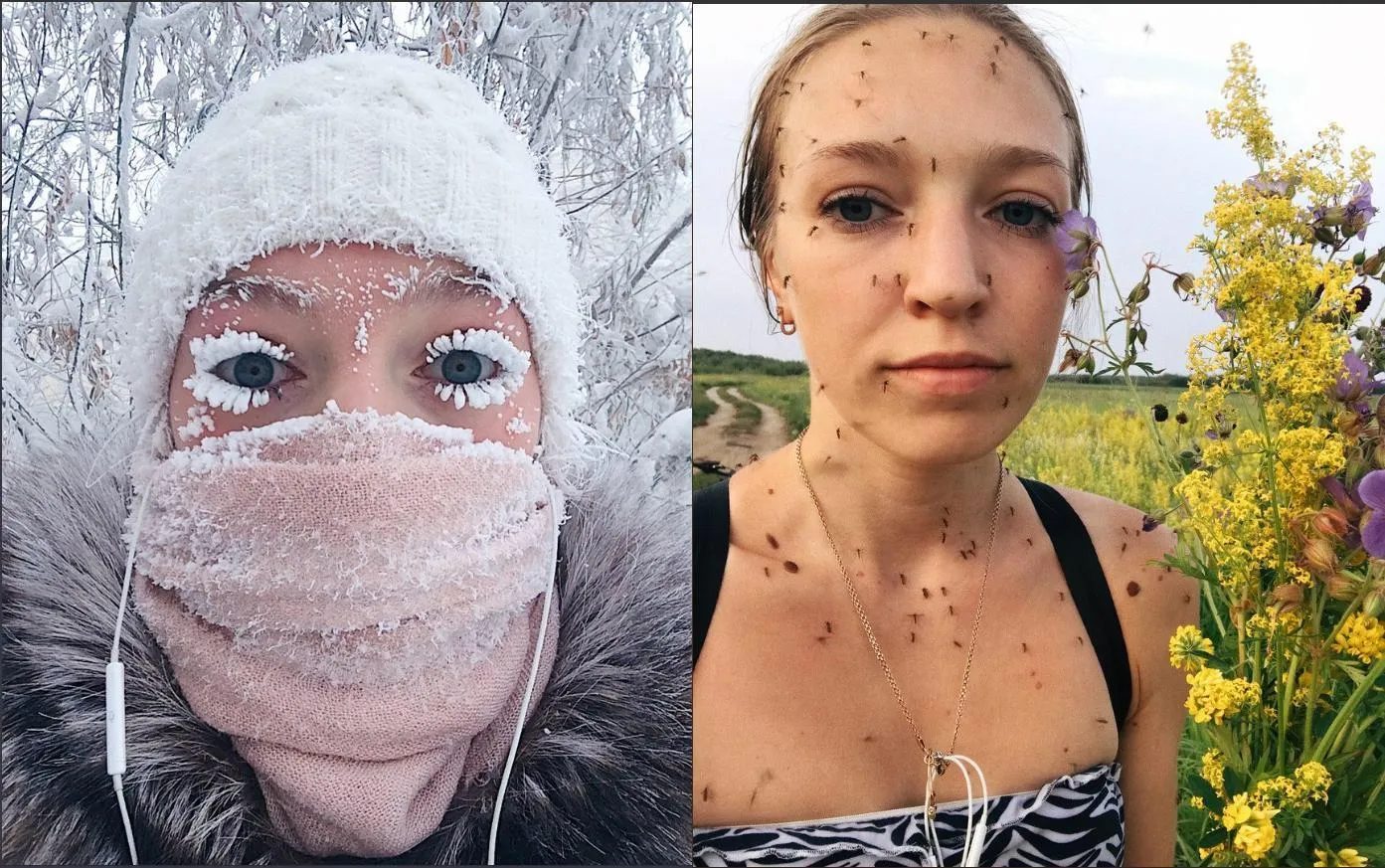Siberian Winter vs Siberian Summer.