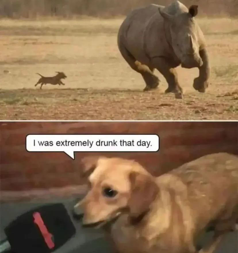 image of a dog chasing a rhino