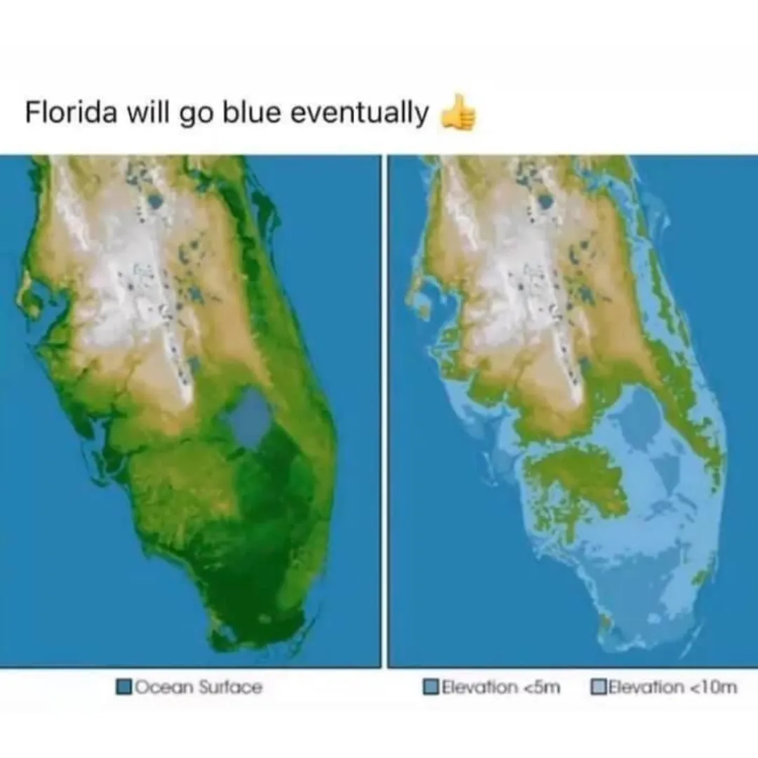 meme about florida turning blue