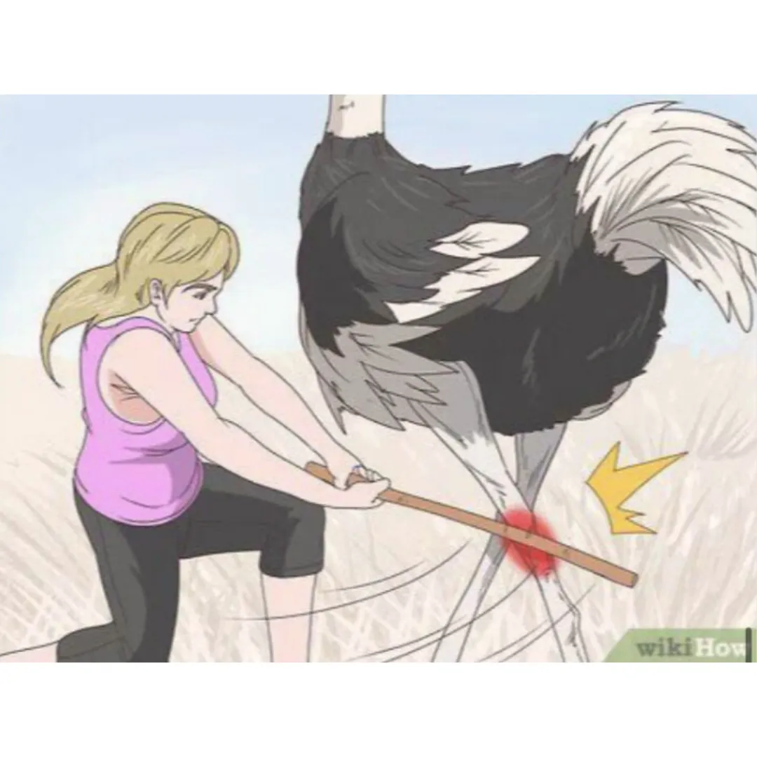 woman hitting an ostrich in the knee cap