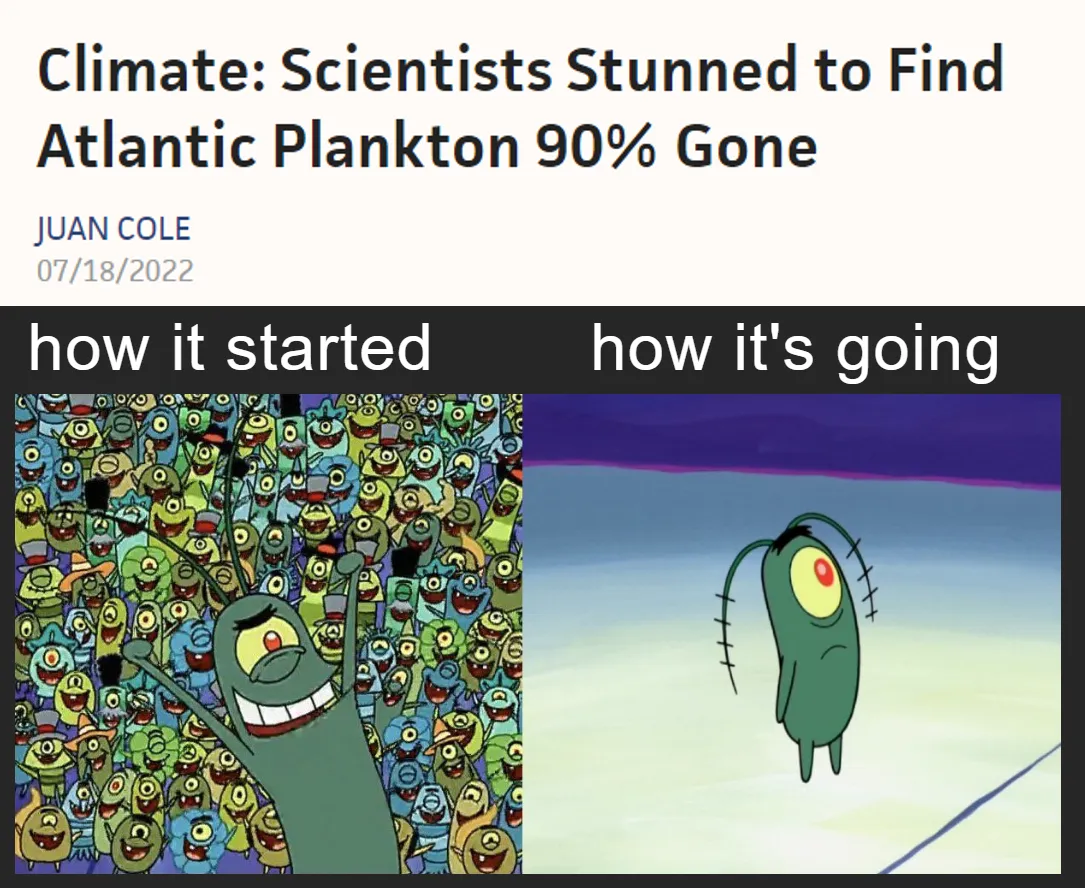 image explaining ow much plankton has been lost