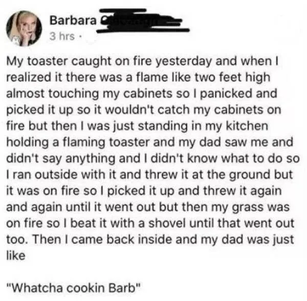 story about a girl setting her toaster on fire
