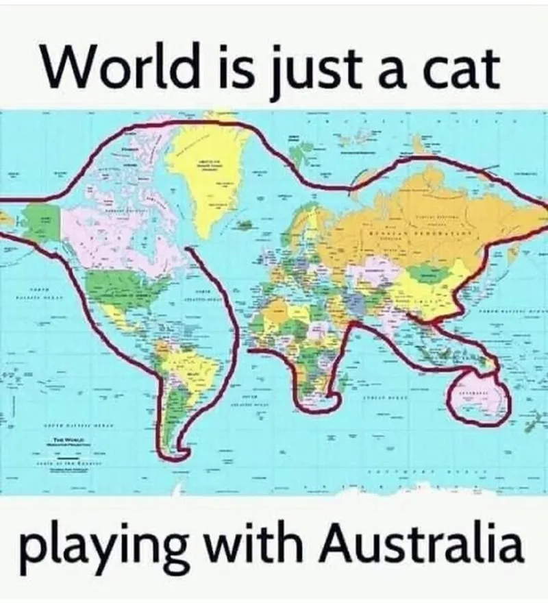 the world outlined as a cat