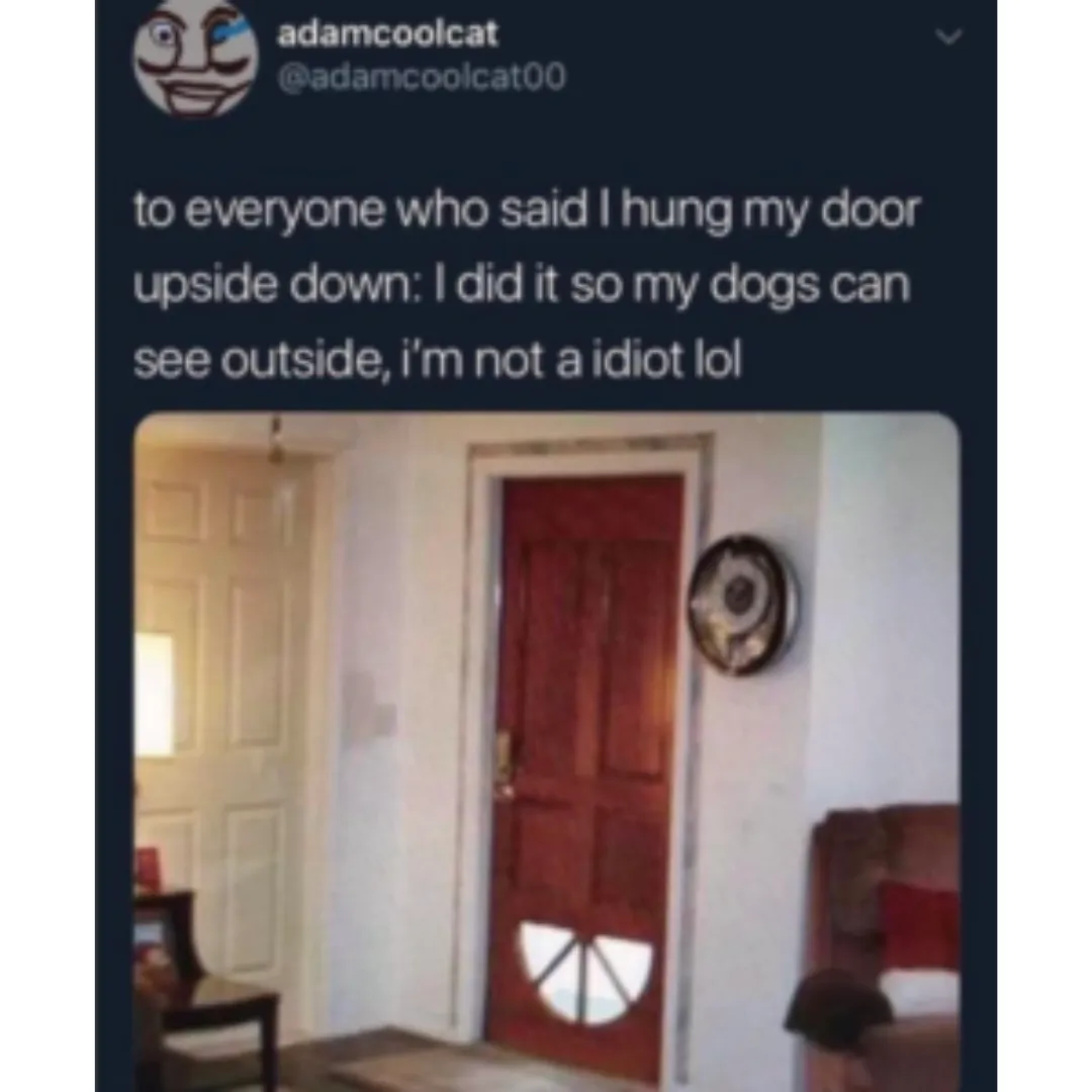 image of a door upside down so pets can look through it