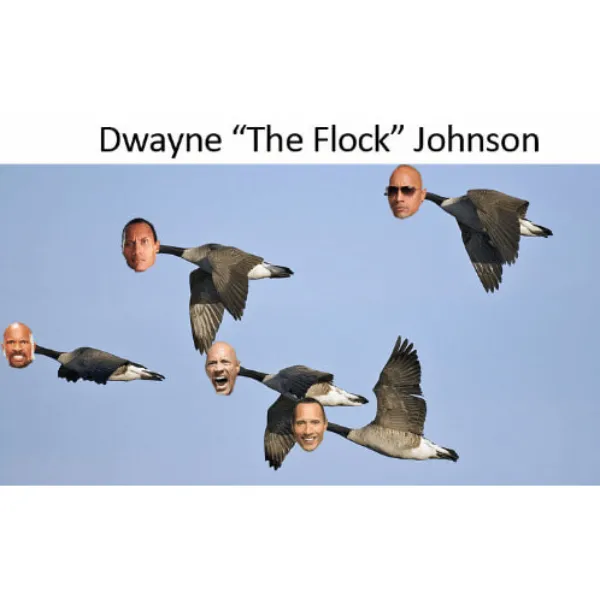 Dwayne Johnson Memes Because The Smell The Rock Is Cooking Has Faded