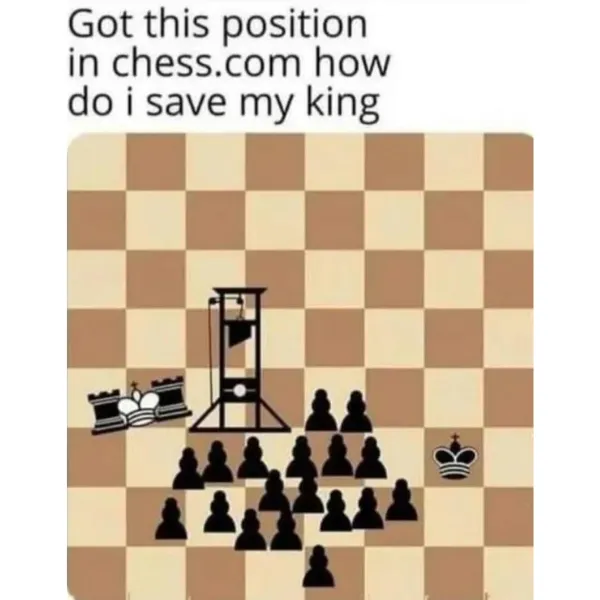 Chess memes frndsss.! : r/meme