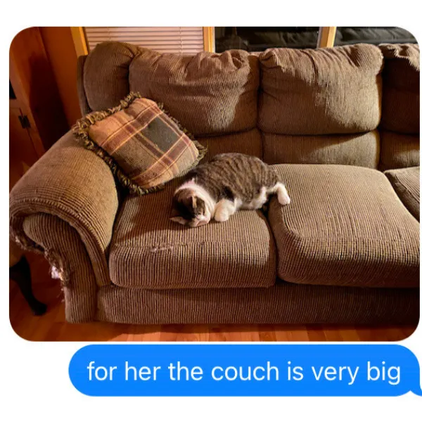 Beeg Couch For Kitty