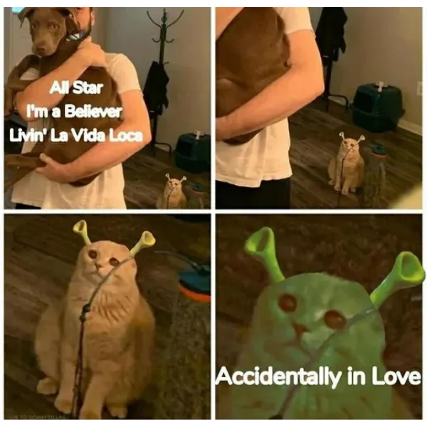 Shrek memes