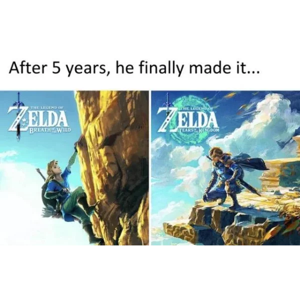 The Legend Of Zelda: 10 Memes That Perfectly Sum Up Link As A