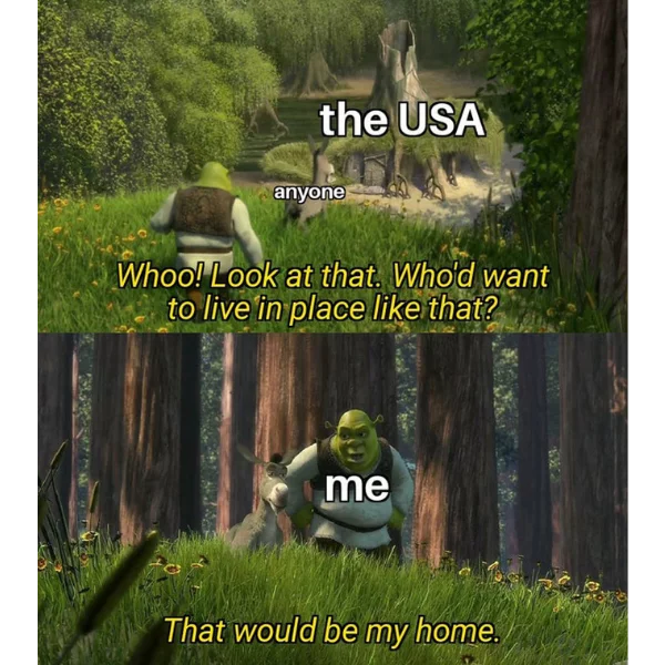 SHREK MEMES 