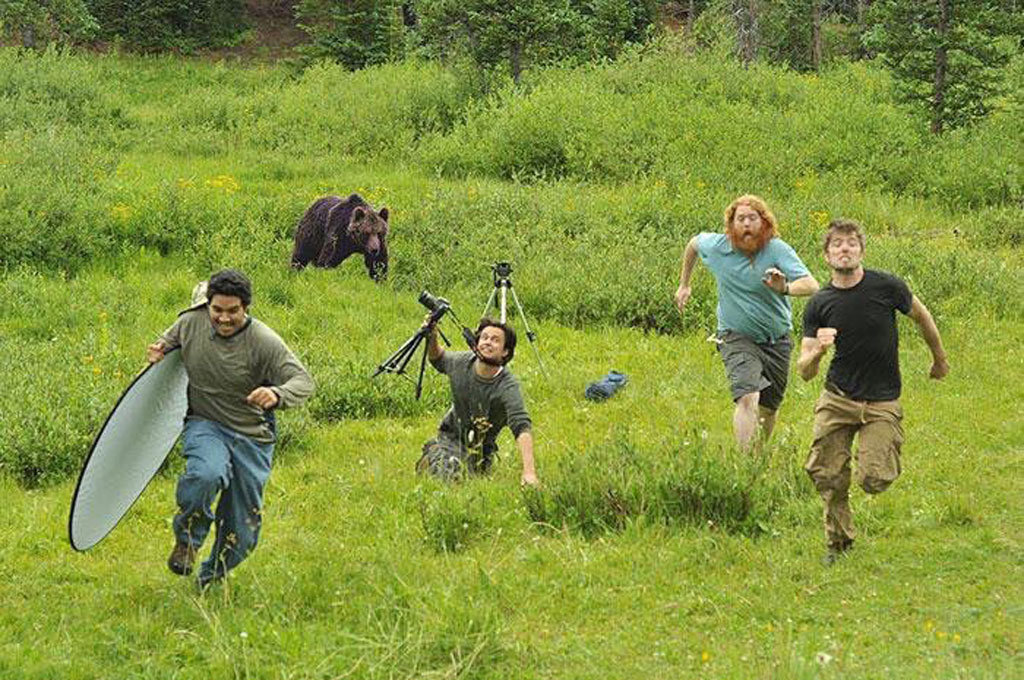 bear-running bear-running