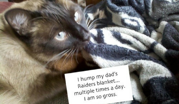 catshame23-13575.jpg