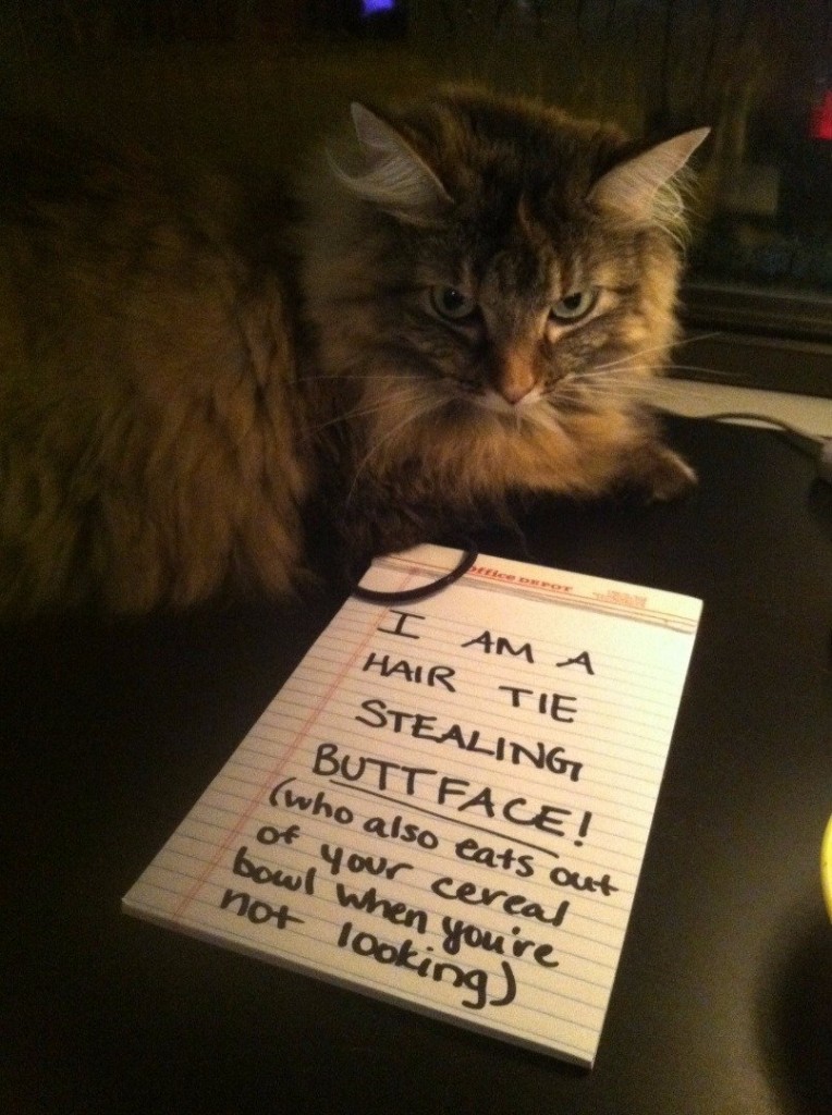 hair-tie-thief-90501.jpg hair-tie-thief-90501.jpg