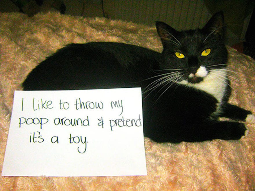 poop-toy-17193.jpg poop-toy-17193.jpg