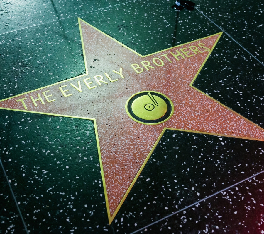 the everly brothers the everly brothers