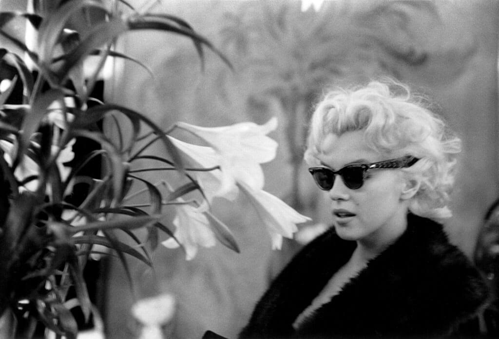 monroe-glasses-48227-48626.jpg