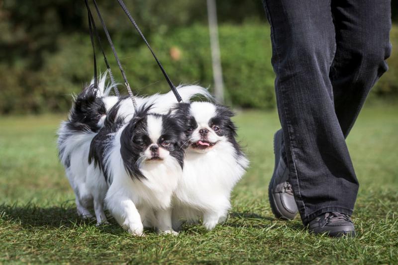 GettyImages-1034112612 GettyImages-1034112612
