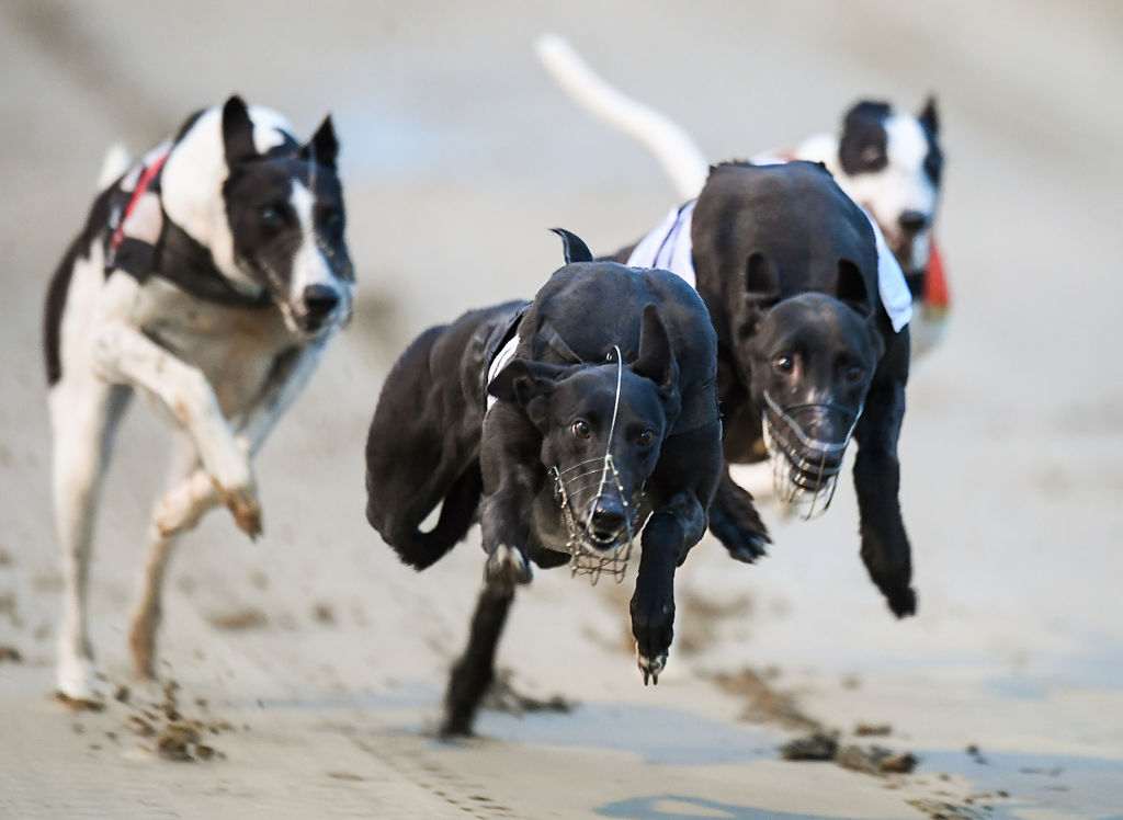 GettyImages-1076585106 GettyImages-1076585106