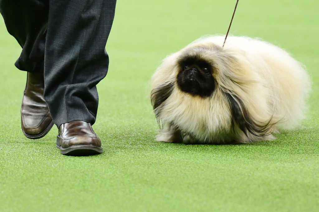 GettyImages-1129031952 (1) GettyImages-1129031952 (1)
