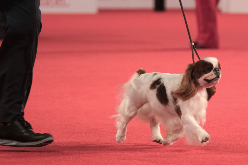 GettyImages-648106370 GettyImages-648106370