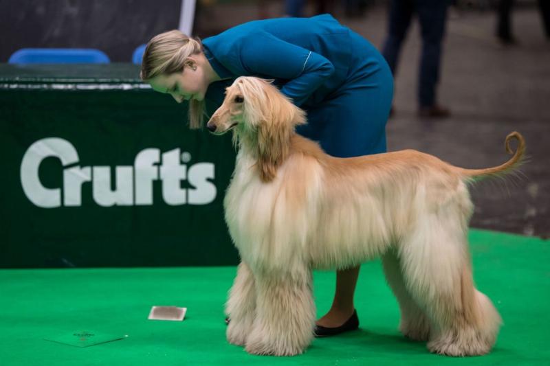 GettyImages-929685772 GettyImages-929685772