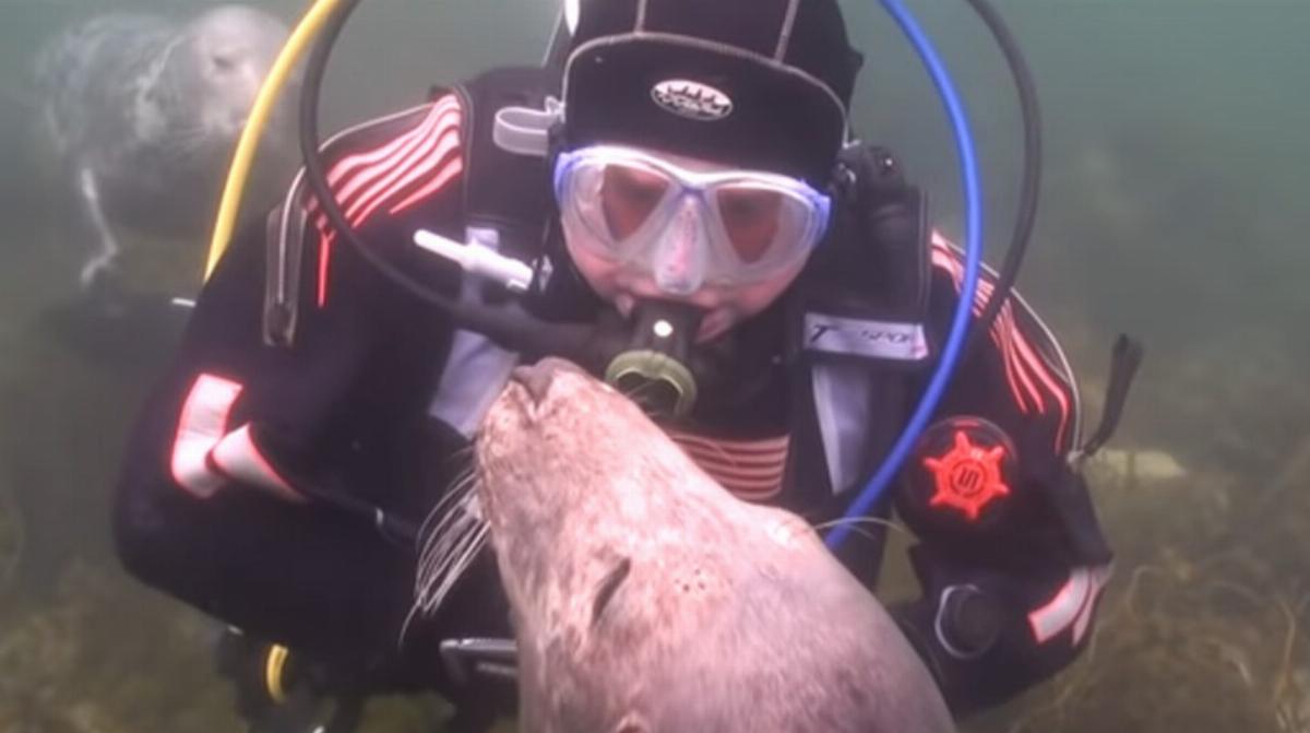 scuba-seal-encounter-3 scuba-seal-encounter-3