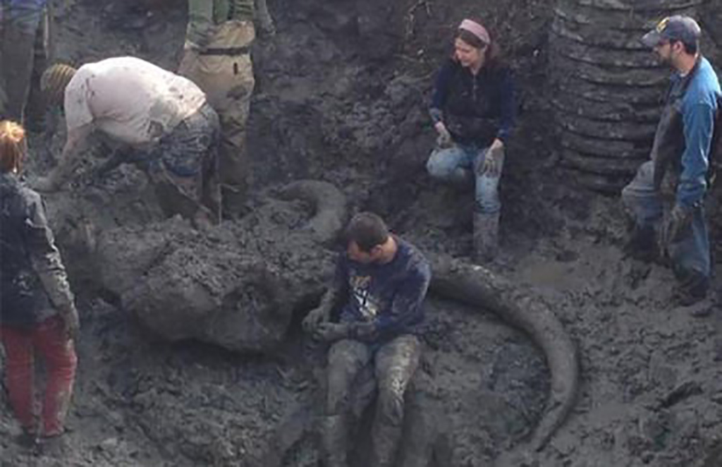 Gas Line On Hold 