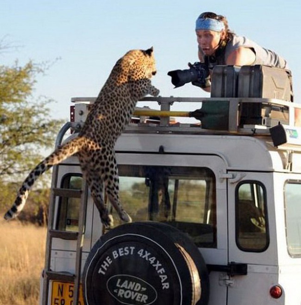 cheetah-car cheetah-car