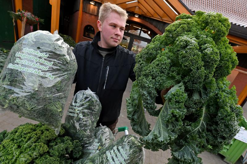 Kale improves heart health and prevents cognitive decline Freshly cut kale is exhibited for sale by Thore Buchholz