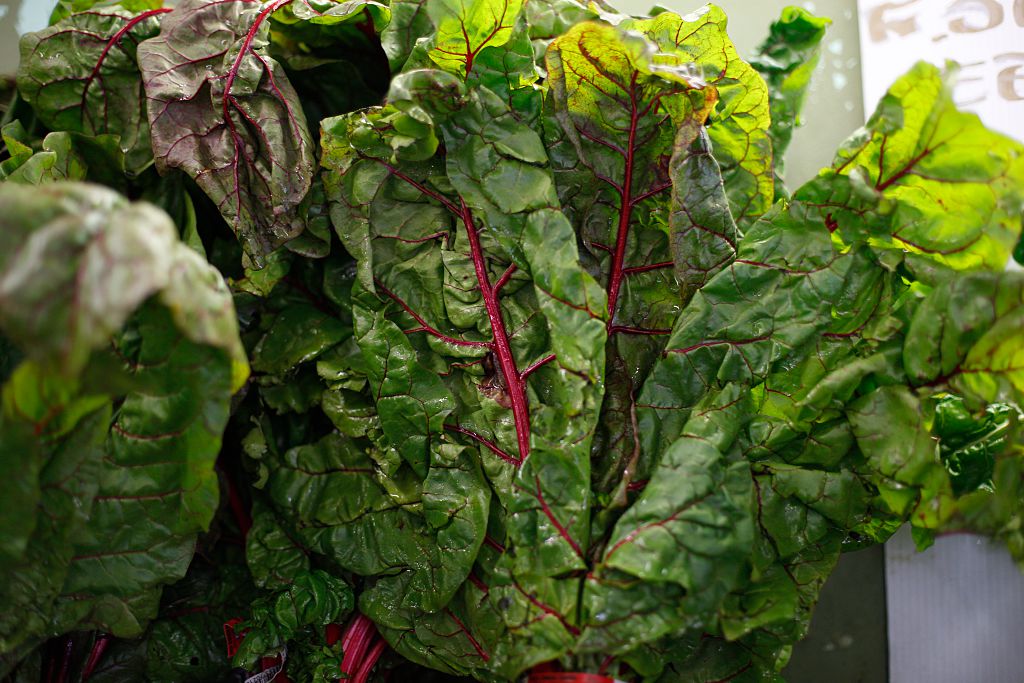 Swiss Chard Swiss Chard