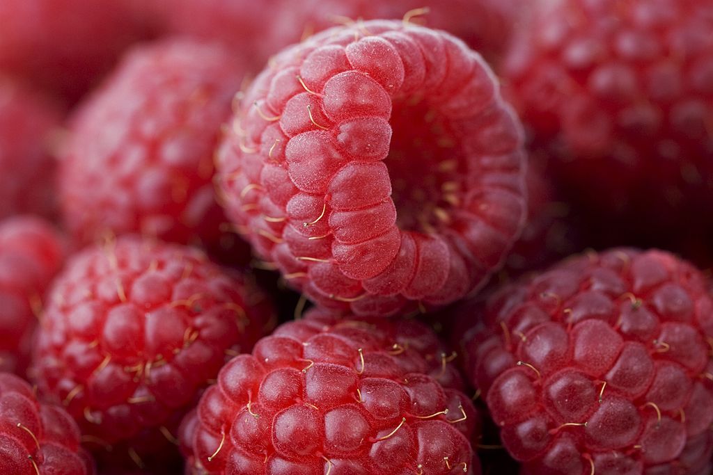 Raspberries Raspberries