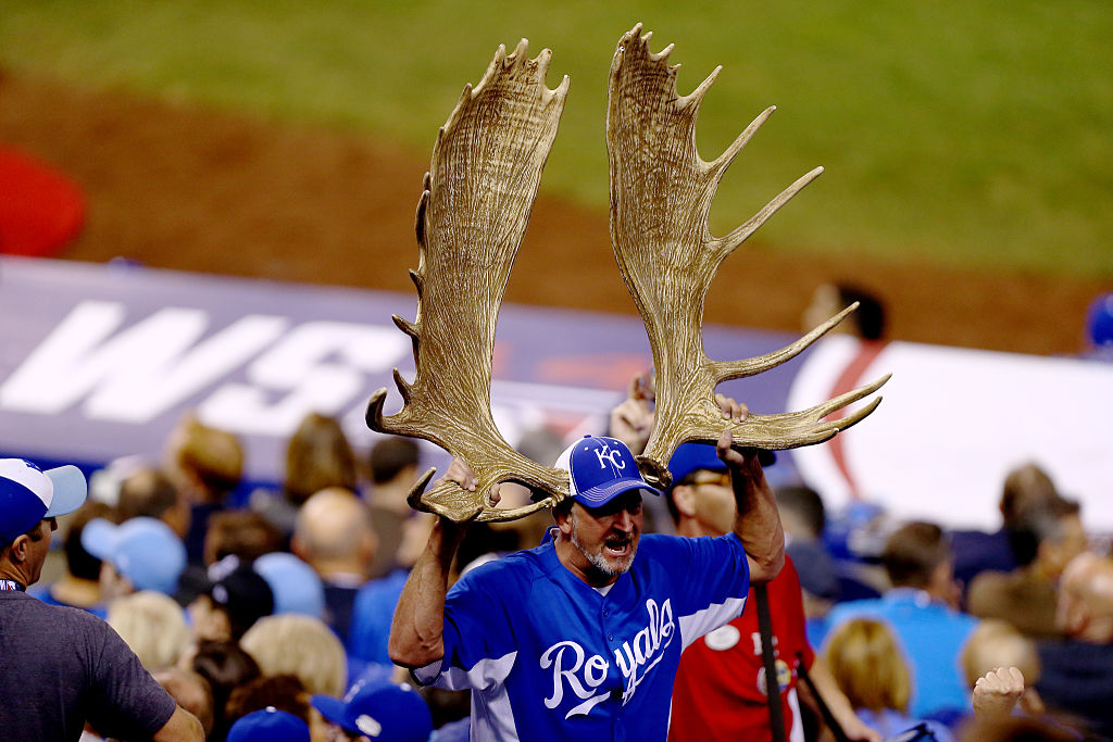 What In Tarnation? Man with moose horns