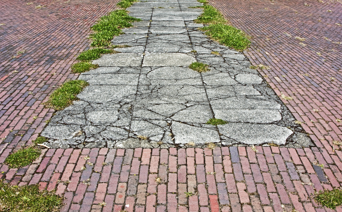 sidewalk weeds growing sidewalk weeds growing