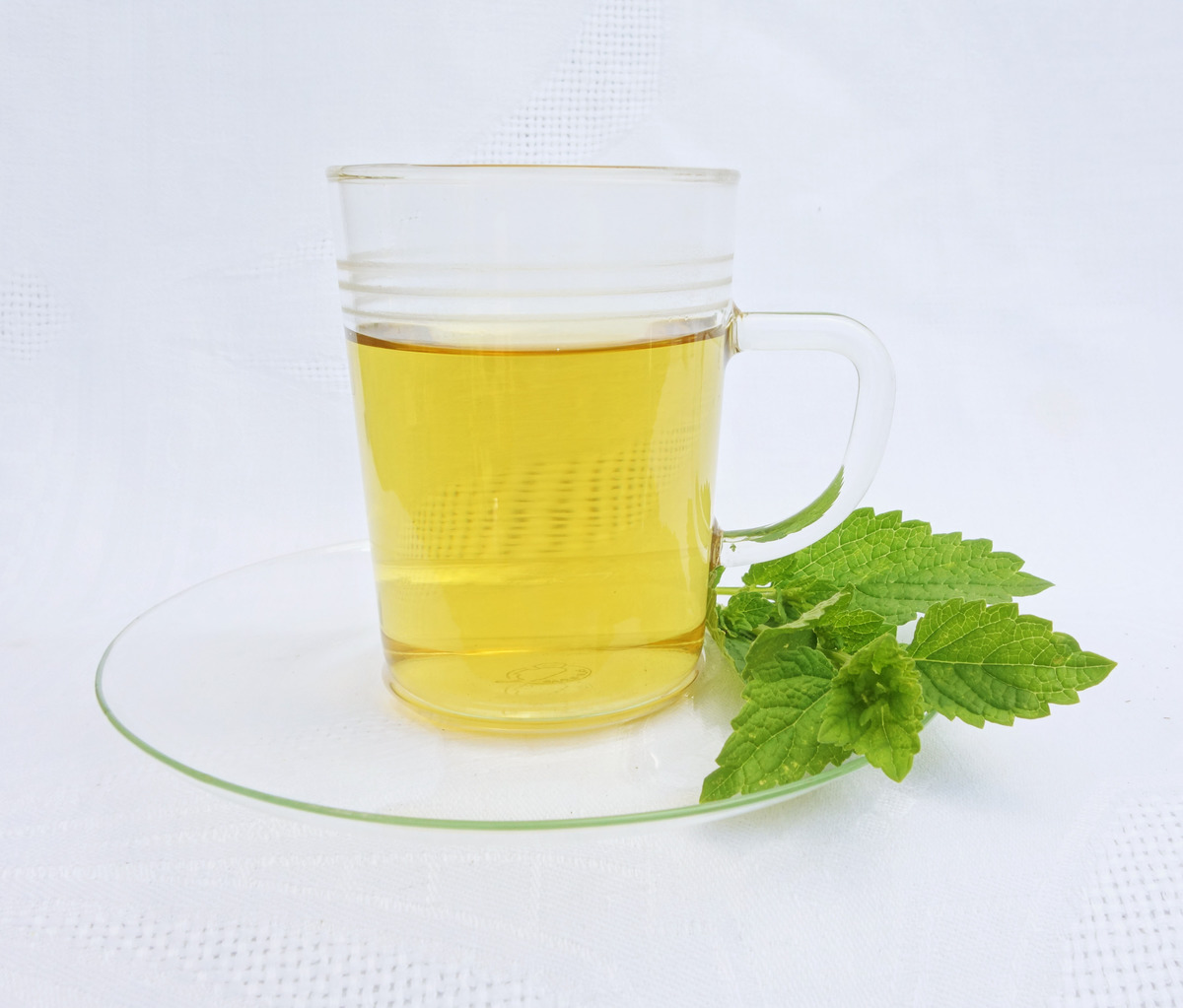 lemon balm cold sores-876323084 a cup of lemon balm tea