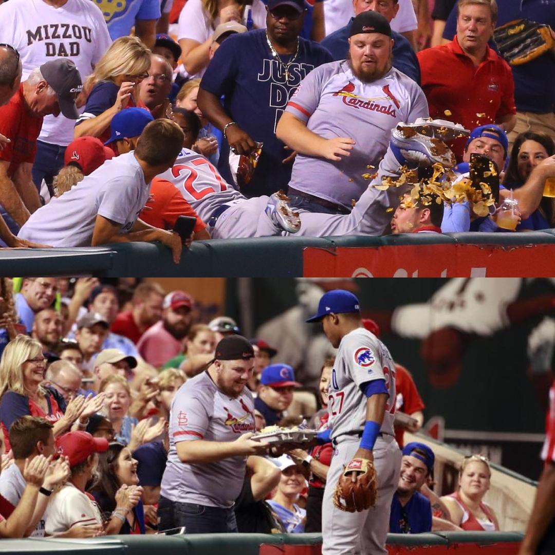baseball fan nachos baseball fan loses his nachos