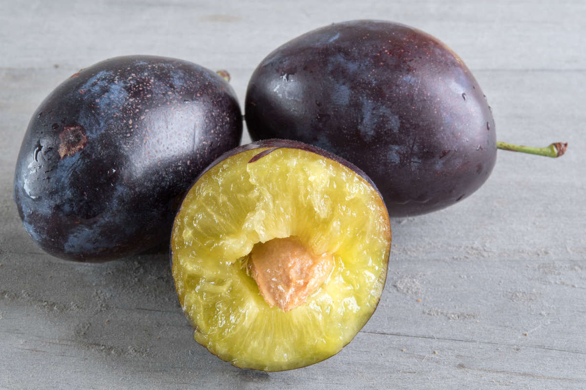 prunes - 844640324 A blue Ontario plum is cut in half.