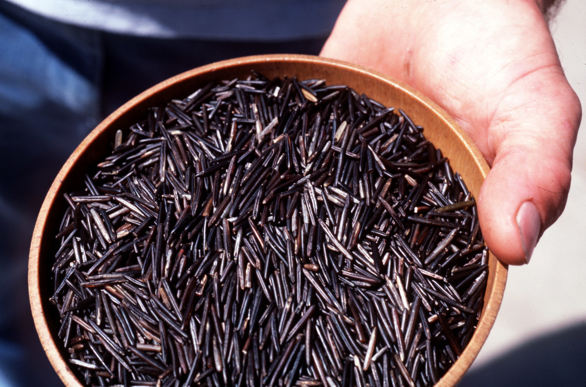 wild rice-1155631427 Person holds a bowl of wild rice.