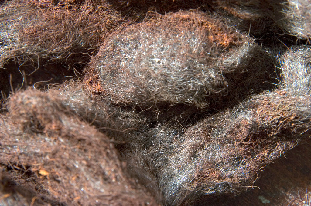 Preserve Your Steel Wool -976028326 Mess of rusty steel wool